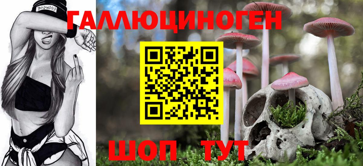 где купить наркоту  Вход с VPN  Абакан  Псилоцибиновые грибы прущие грибы 