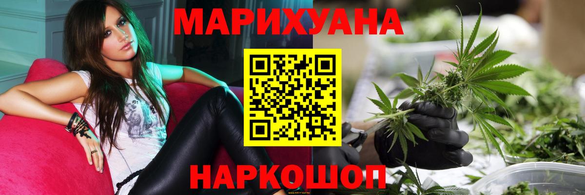 Конопля конопля Абакан